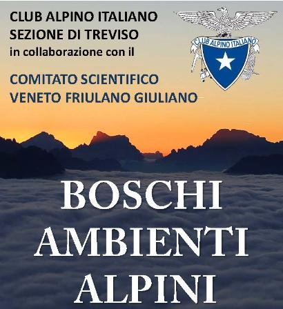 Corso Boschi
